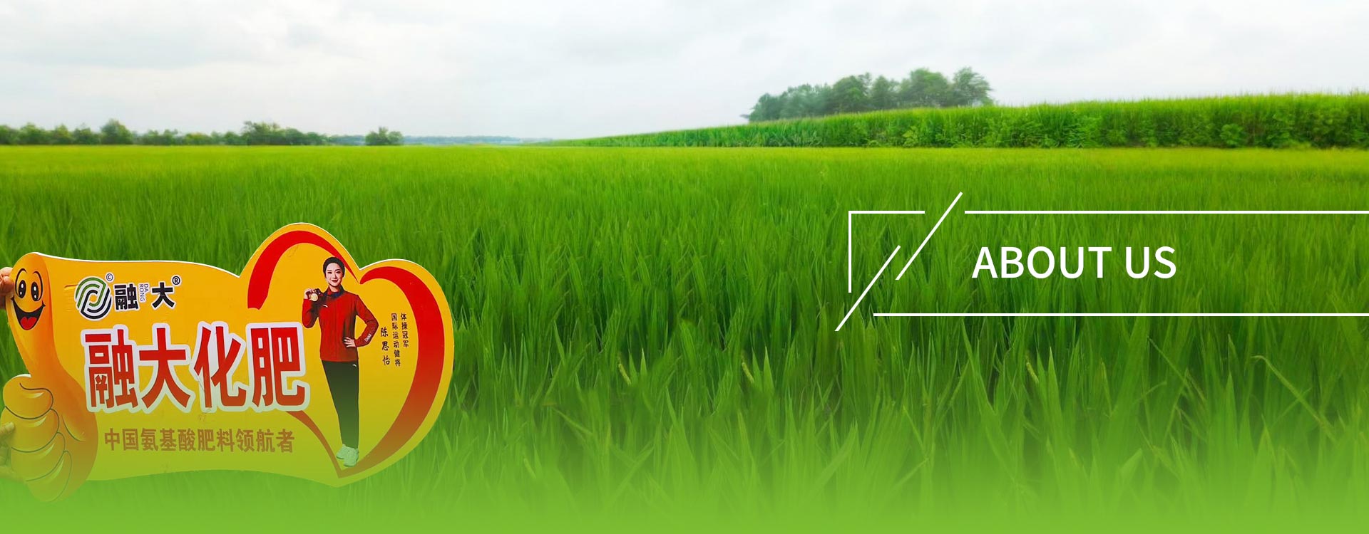 Zásady ochrany osobných údajov